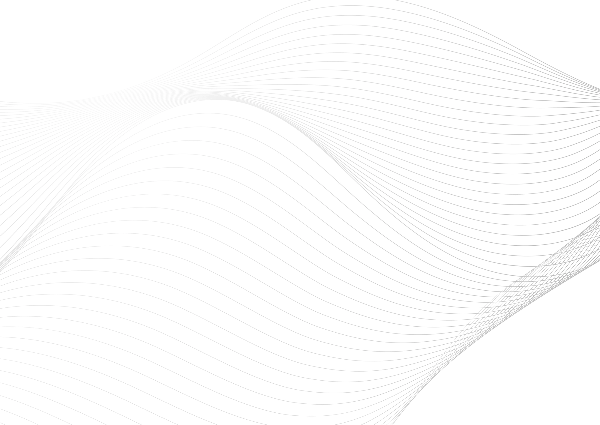 Web Site Tasarımcısı, Orhaneli